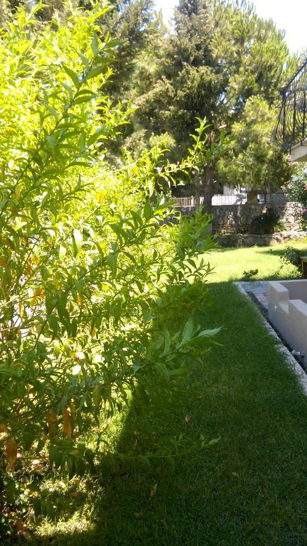 Poppy Apartments Fethiye Room photo